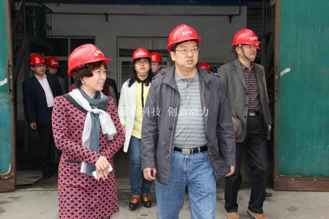 尊龙凯时人生就是搏科技肩负“陕西省重大科技立异项目”通过验收