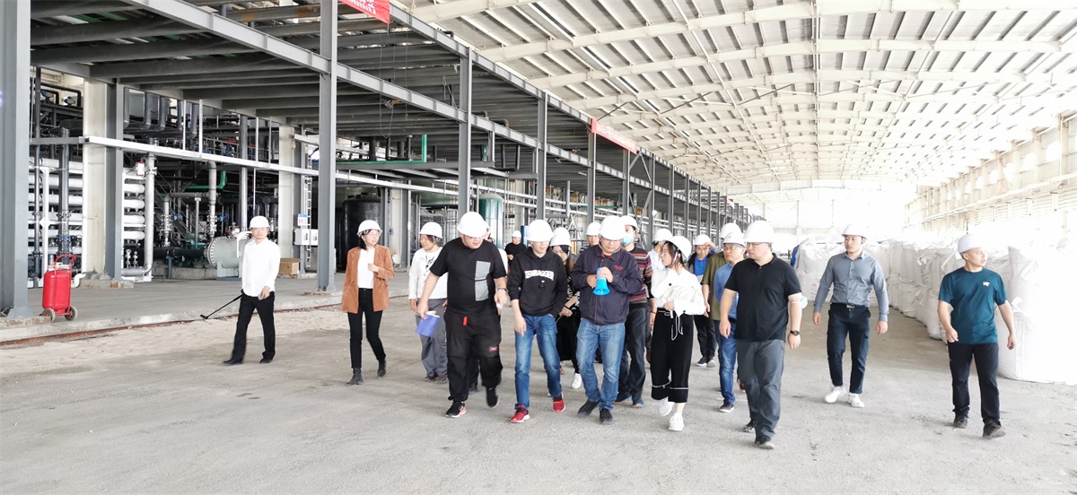 “尊龙凯时人生就是搏科技盐湖提锂手艺——走进锦泰项目”圆满举行