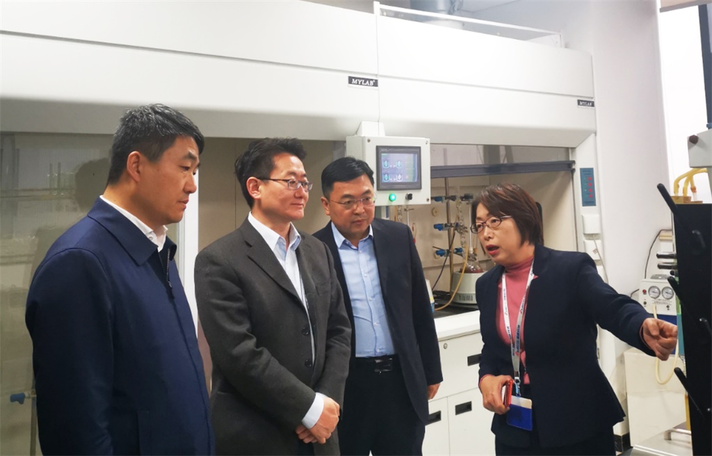 延安市副市长高昕昱同志一行来公司考察指导事情