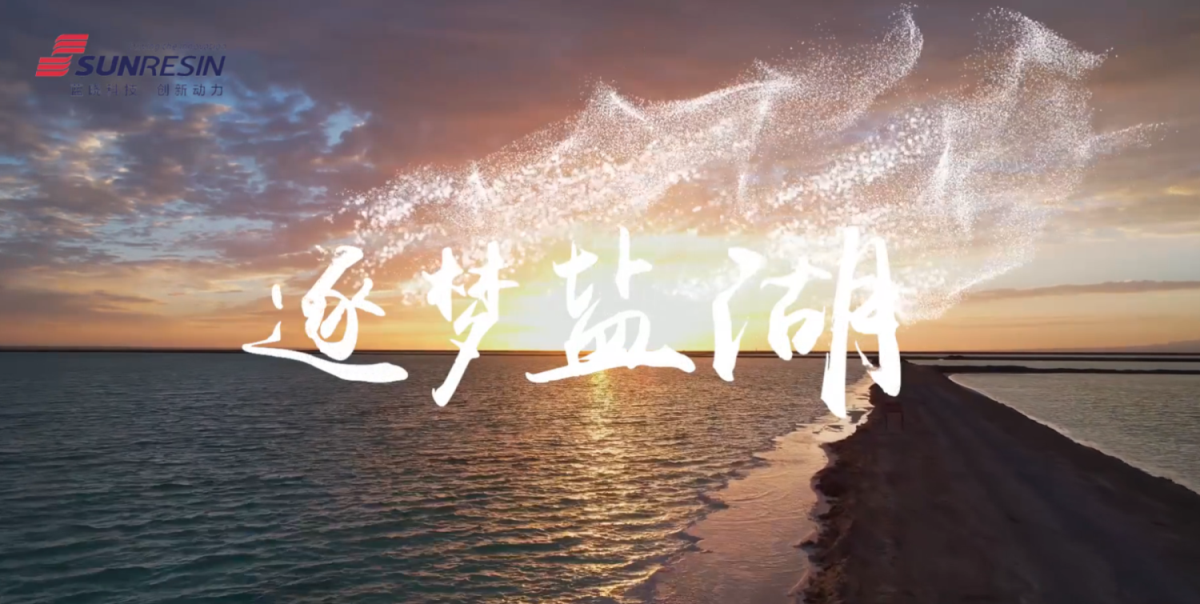 披荆斩棘逐梦，锲而不舍立异----尊龙凯时人生就是搏科技盐湖提锂手艺之青？